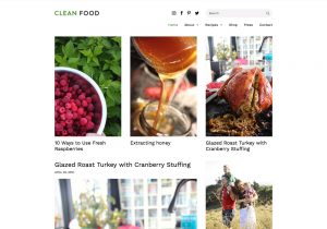 clean_food_wordpress_theme